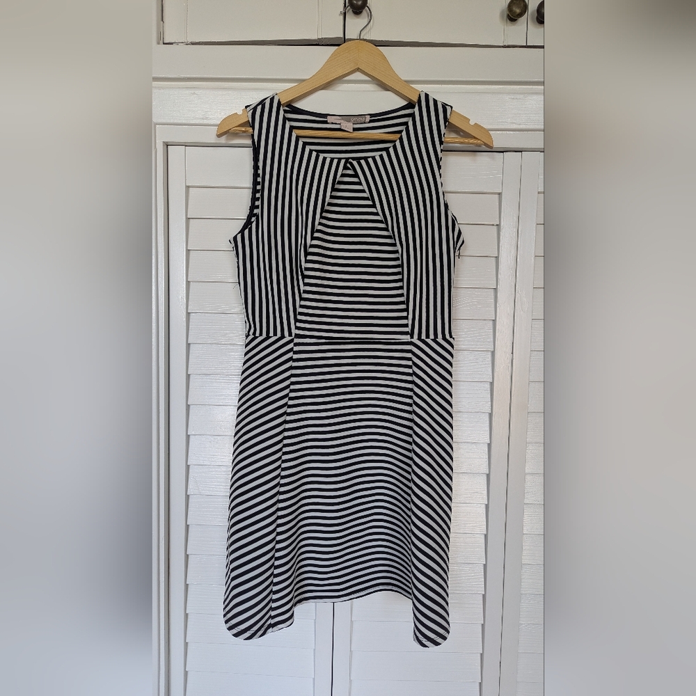 Forever 21 Black and White Striped Midi Dress